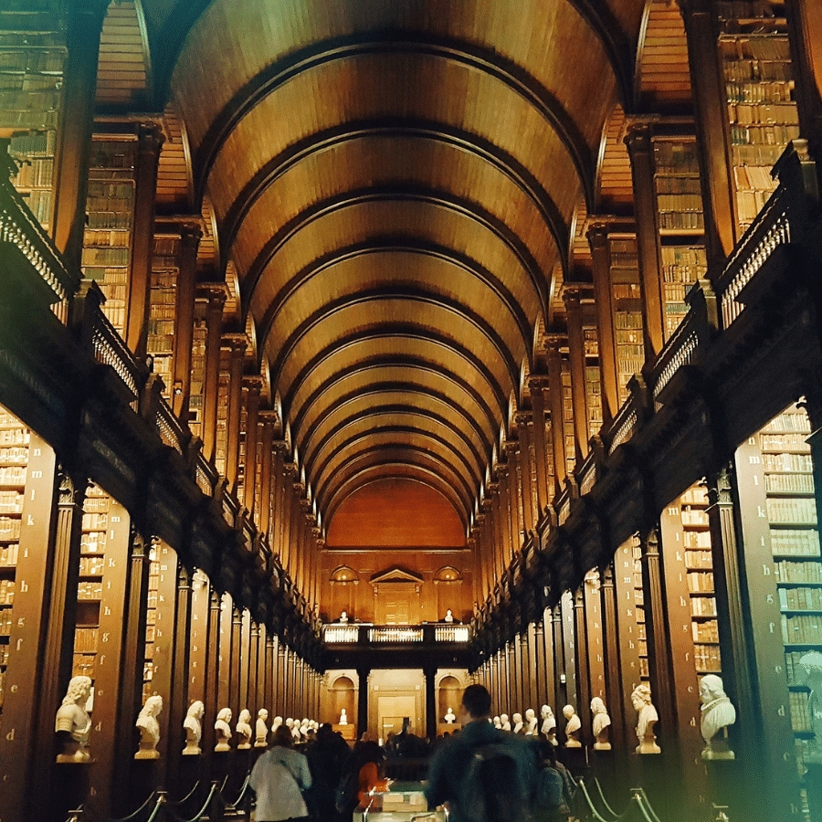 Business Internships in Ireland The Intern Group